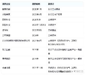 全球最大水電央企投資了哪些氫能公司？